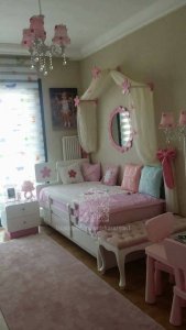 19702341_803756089787107_6711887639349593940_n