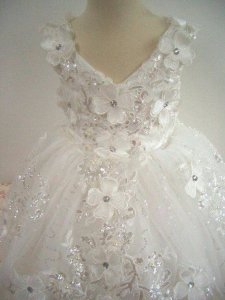 19732242_1960536374191366_6856266320877325576_n