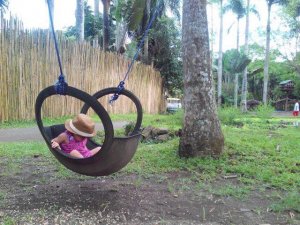 19748462_457887557904531_6487370609307944069_n