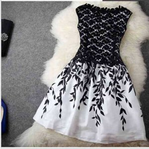 20108190_1774325212594761_5926123724806575842_n