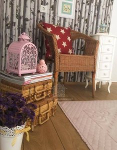 20228689_811901118972604_8830905903862743970_n