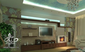 hayahcc_1394062641_862