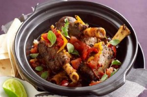 ضاني-الحلة-البريستو_0