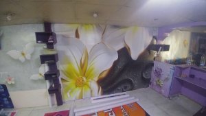 19748523_149459898950271_1678371447666150856_n