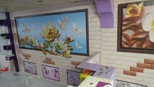 19756826_149460015616926_7270781794782833928_n