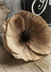 20431204_1633836369968908_7496524831277463413_n