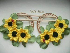 20431723_263116797514309_3074838063780784240_n