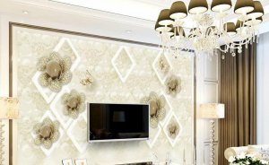 20476274_158322421397352_4391356698202142904_n