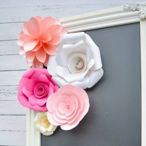 20620924_1591247370927548_5901040651178246969_n