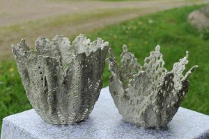 20046847_1195094273927903_5052633549444160926_n