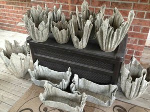 20108244_1195095017261162_6587625660896901874_n