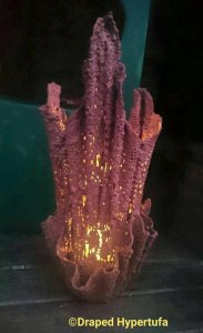 20139950_1195094473927883_9006371068799481275_n