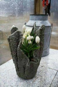 20228564_1195094337261230_3556303381124527561_n