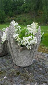 20228797_1195094320594565_3777669575107283473_n