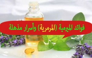 حمام الميرمية لتجديد شبابك