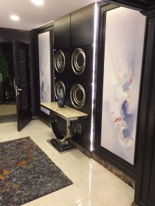 22089387_1838378256202779_1333820798030927408_n