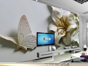 22195485_176414352921492_7956992916908080218_n