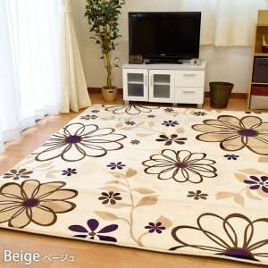 22366698_1673171816027953_5222093939992230023_n