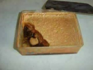 22688635_532262310460269_6650885046316938788_n