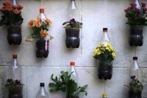 22853157_2187566174608590_7418225413683480962_n