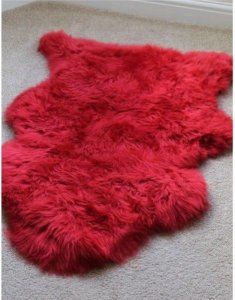 23130729_1640146916066196_456708286483744595_n