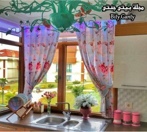 23167723_869969703165745_7993332332408566814_n