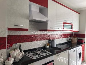 23167834_869389649890417_4418168955469485351_n