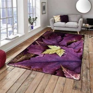 23319172_1950288971855369_742695434301372479_n