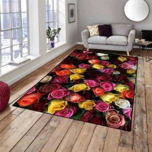 23472274_1950289248522008_488873332951109660_n