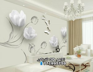 25299515_151470865502424_61700325167929516_n