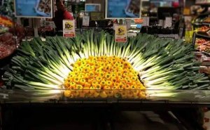 24174286_10157945147233647_6100738346579436293_n