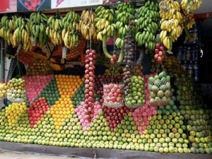 24231920_10157945147763647_182320694470297497_n