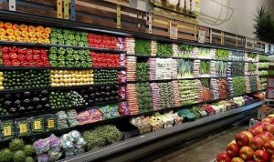 24231964_10157945147293647_4282785975848419404_n