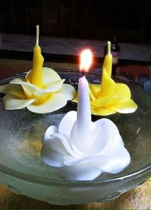 26168169_1952705711652232_7243213901467686085_n