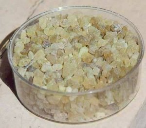 31478645_201525217302743_4064383730377031680_n