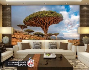 31562258_241397983089795_5592197573969986694_n