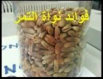 معلومة رائعه فوائد نواة التمر  معلومة رائعه فوائد نواة التمر