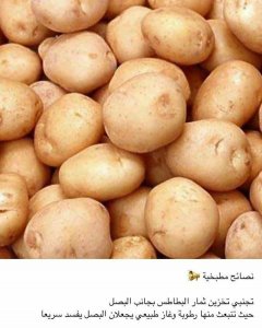 33299980_635353080147060_8032368912660168704_n