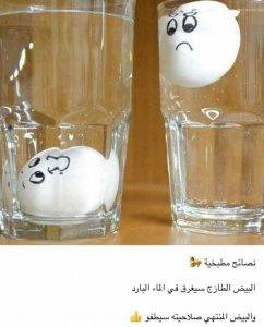 33434385_635353120147056_6199095361114472448_n