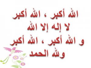 101033dreamjordan.com