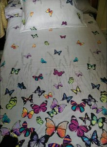 33664663_193614744614836_8871479675461828608_n