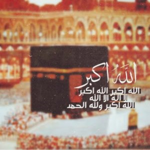 343531_dreambox-sat.com