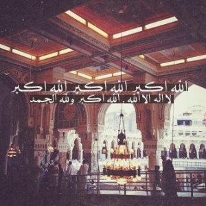 343533_dreambox-sat.com