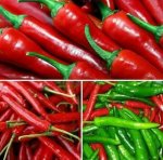 فوائد الفلفل الحار