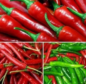 فوائد الفلفل الحار