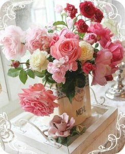 42201381_1438576089578378_4068732728361615360_n