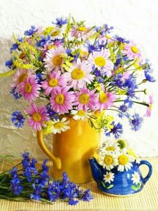 42207968_1438577879578199_2528267953745428480_n