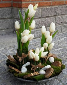 42210194_1438577822911538_8332175411085574144_n