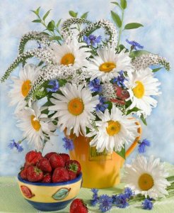 42264921_1438577666244887_6918653334115057664_n