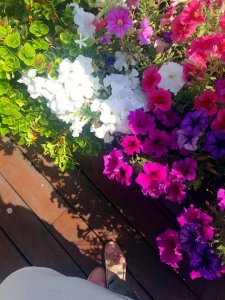 42266477_1438577242911596_1946667164970778624_n